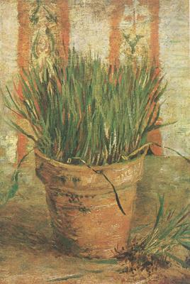 Vincent Van Gogh Flowerpot with Chives (nn04) Germany oil painting art